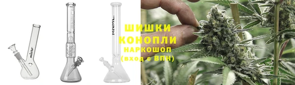 PSILOCYBIN Балабаново