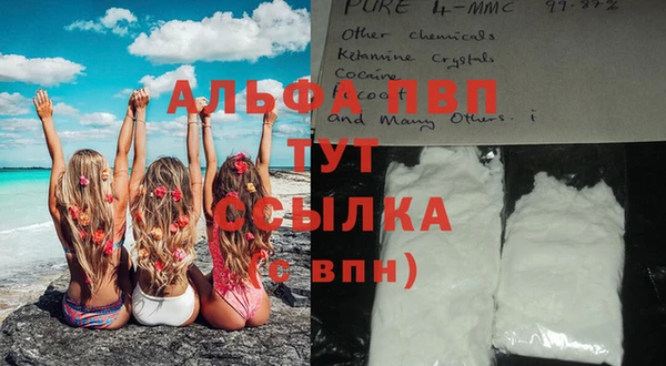 PSILOCYBIN Балабаново