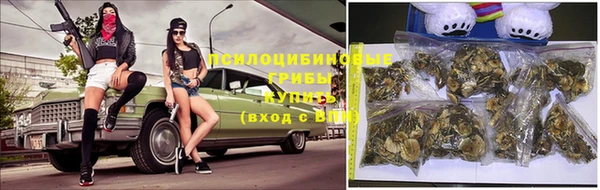 PSILOCYBIN Балабаново