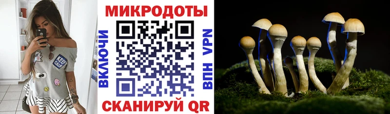 гидра tor  Голицыно  Псилоцибиновые грибы мухоморы  продажа наркотиков 